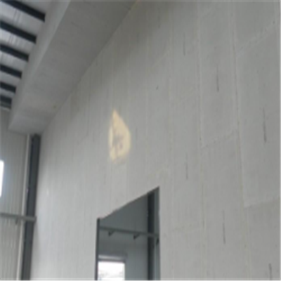栾川宁波ALC板|EPS加气板隔墙与混凝土整浇联接的实验研讨